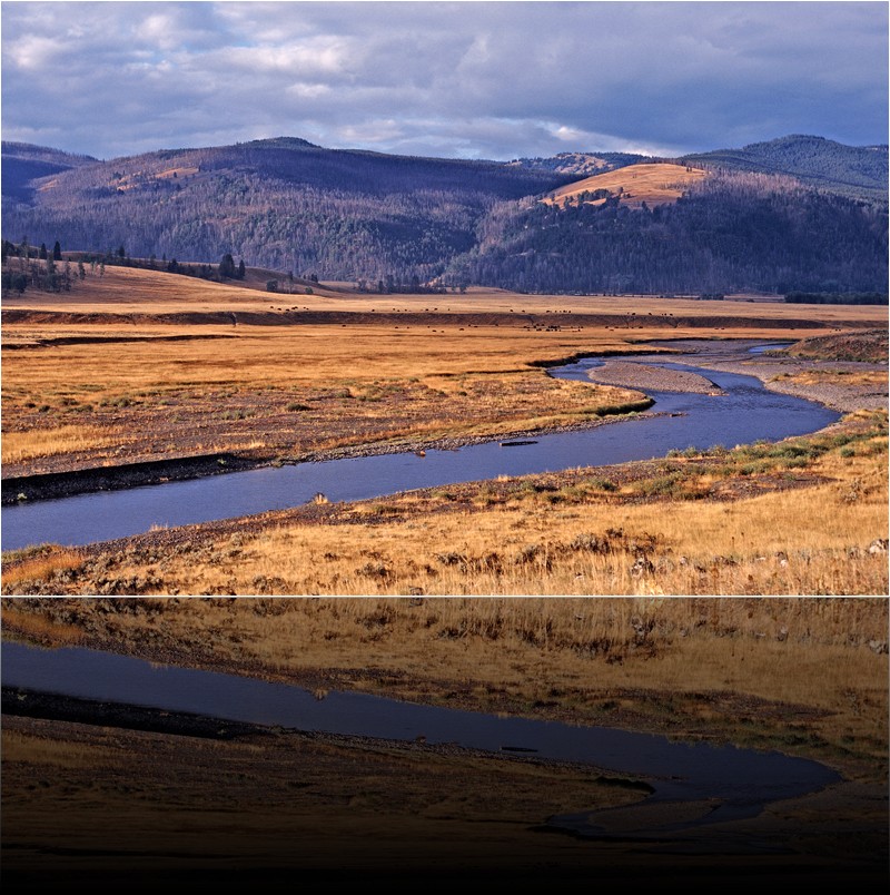 Lamar Valley