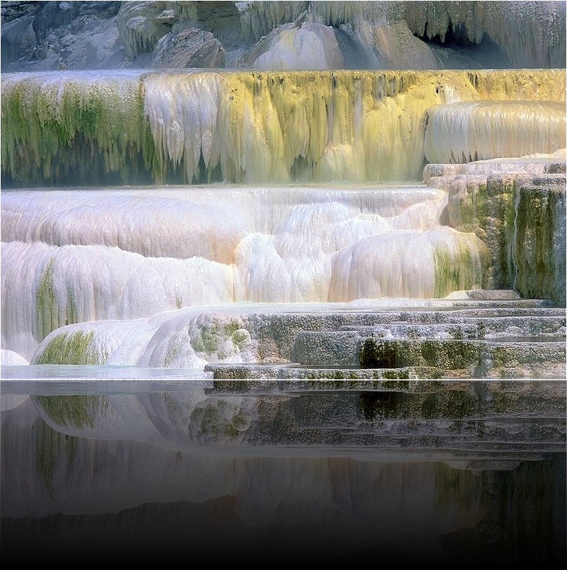 Mammoth Hot Springs